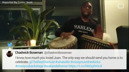 Chadwick Boseman Shares Special Tribute To Stan Lee