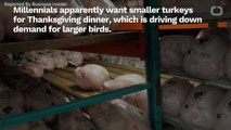 Millennials Want Smaller Turkeys For Thanksgiving Dinner