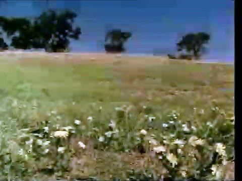 Le générique culte de La petite maison dans la prairie