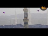 عمرو الهادى 2019 - دعاء منتهى الحريه بمناسبه المولد النبوى الشريف - AMR El HaDY