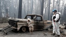 آتش‌سوزی کالیفرنیا؛ شمار ناپدیدشدگان و قربانیان احتمالی به ۶۰۰ نفر رسید
