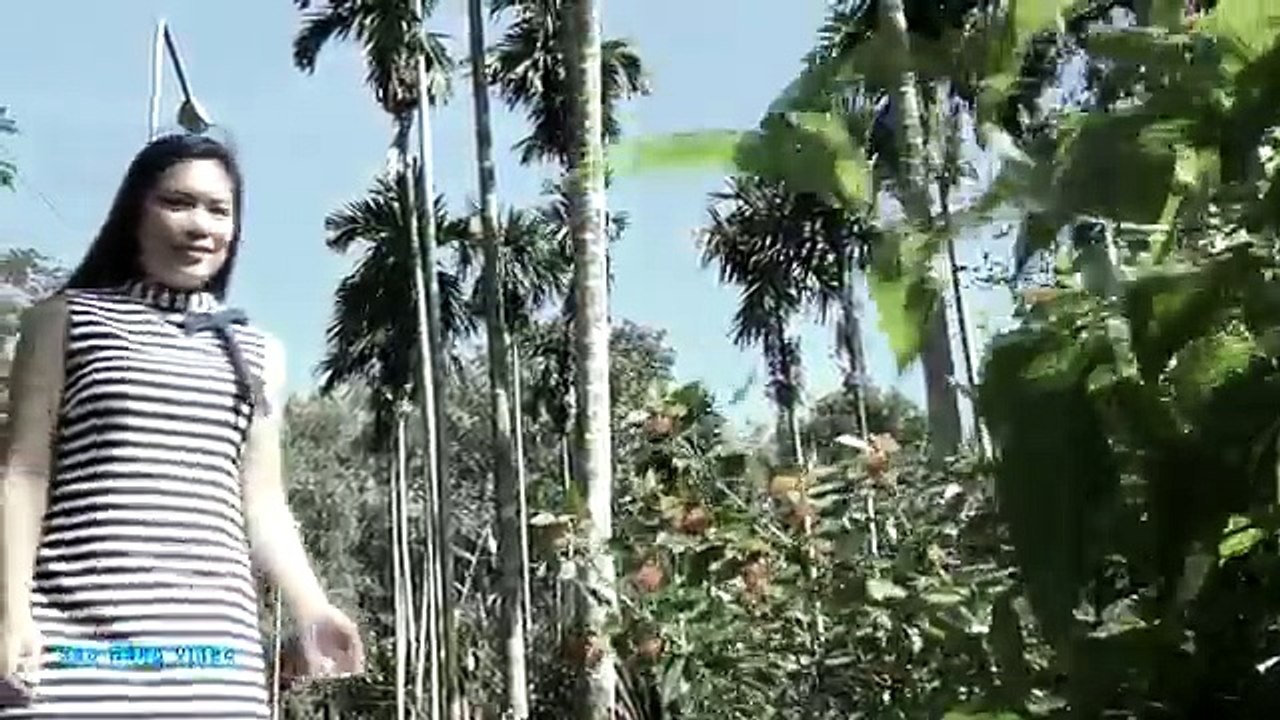 Cõi Nhớ [ Trường Vũ ] - tác giả- Sông Trà
