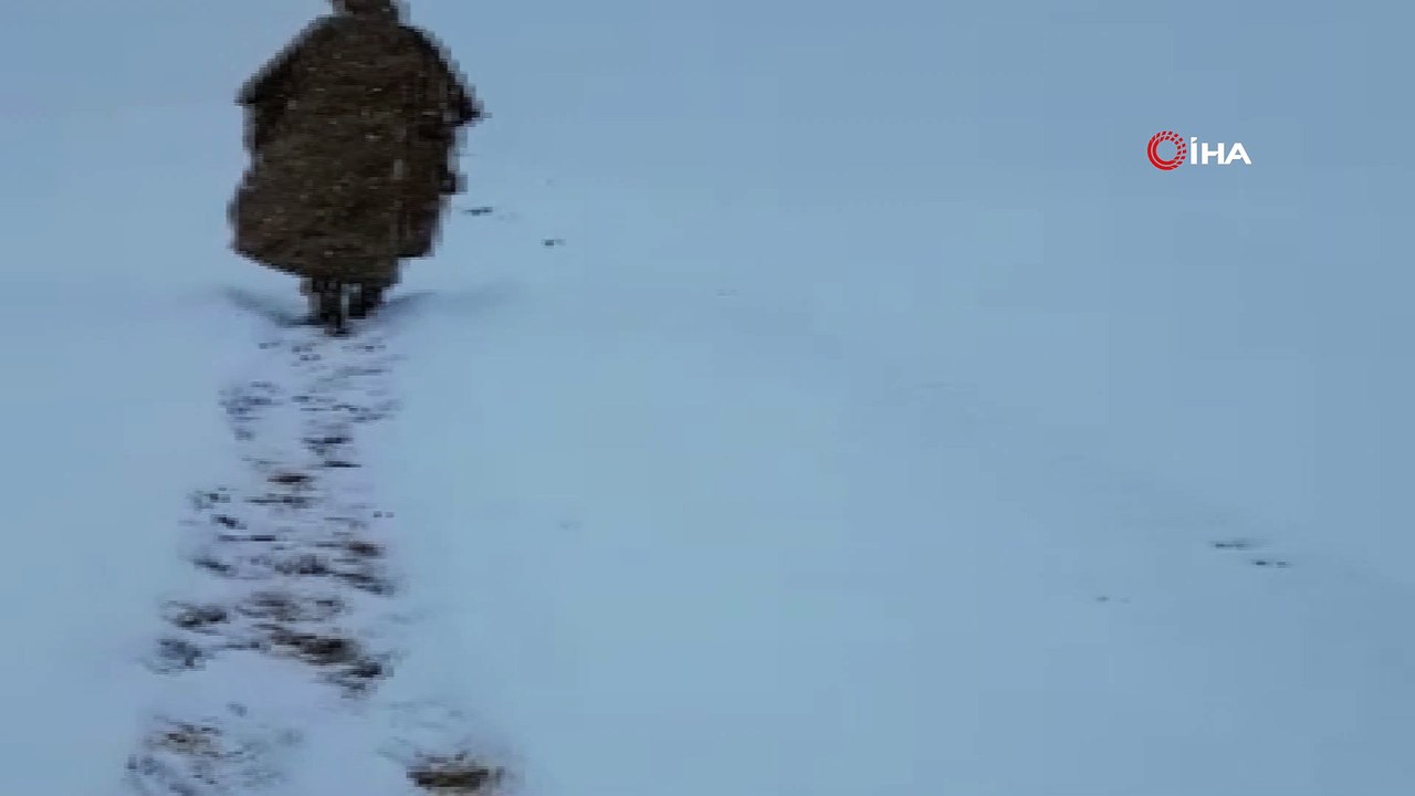 Hava sıcaklığının eksi 25 derece olduğu Kato Dağı'nda operasyonlar aralıksız sürüyor