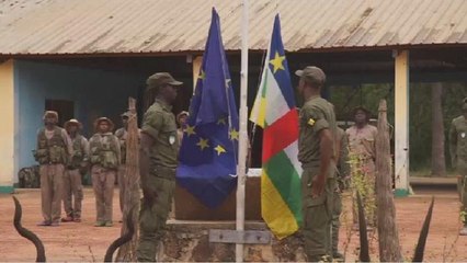 Centrafrique : les défis des éco-gardes