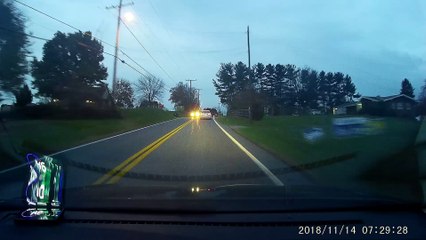 Deer Attempts to Jump over Moving Car