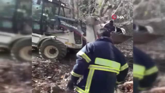 Gebe İneği Dereden İtfaiye Ekipleri Kurtardı