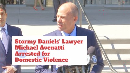 Michael Avenatti Is Working On His Image After Arrest