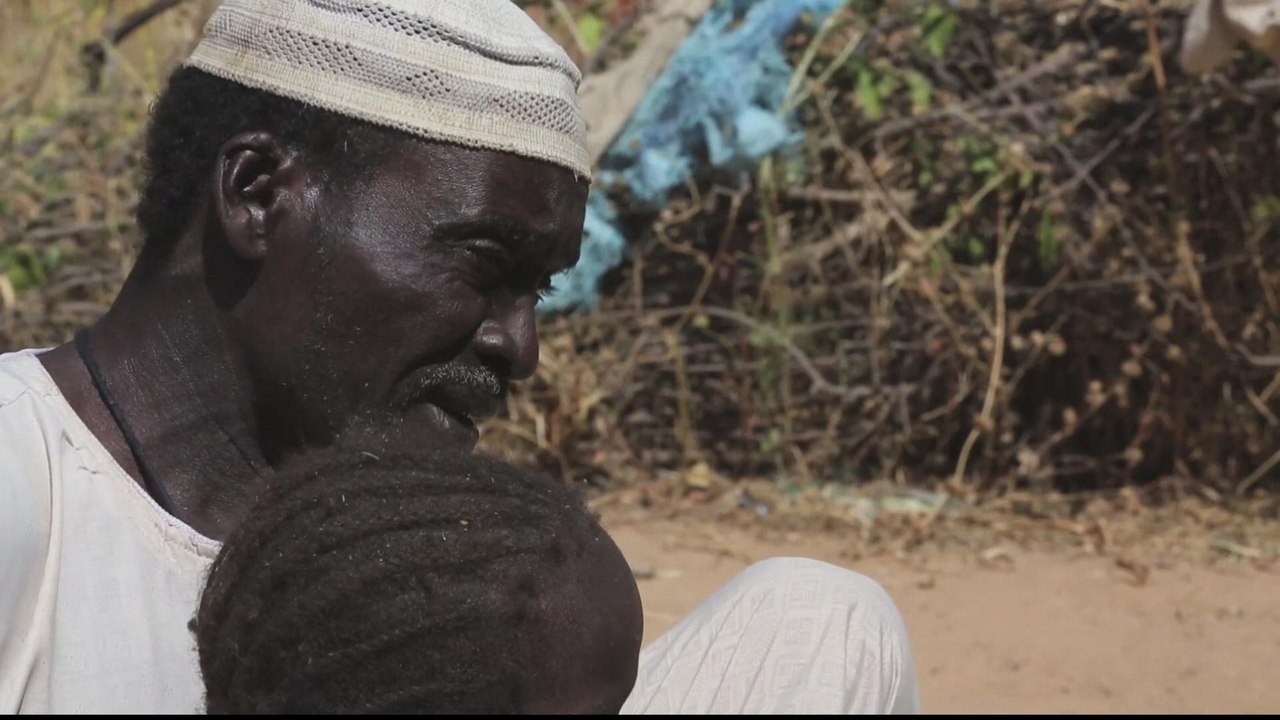 Refugees from Darfur region heading back home from Chad