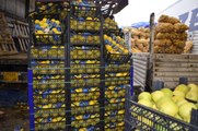 Türkiye'de Yetişen Sebze ve Meyveler Irak Piyasasının Vazgeçilmezi