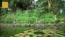 Meditating Amidst Flowing Water