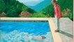 Une oeuvre de David Hockney vendue 93 millions de dollars