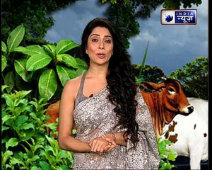 क्या गरीबी दूर होने का नाम नहीं ले रही, तो करें यह उपाय || Family Guru with Jai Madaan