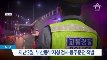 법무부, 음주운전 검사에 솜방방이 처벌 논란