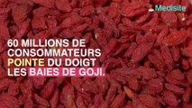 60 millions de consommateurs pointe du doigt les baies de Goji