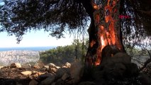 Antalya'da Dağlık Alanda Yangın-