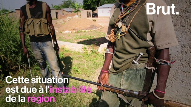 La biodiversité de ce parc national de Centrafrique est gravement menacée