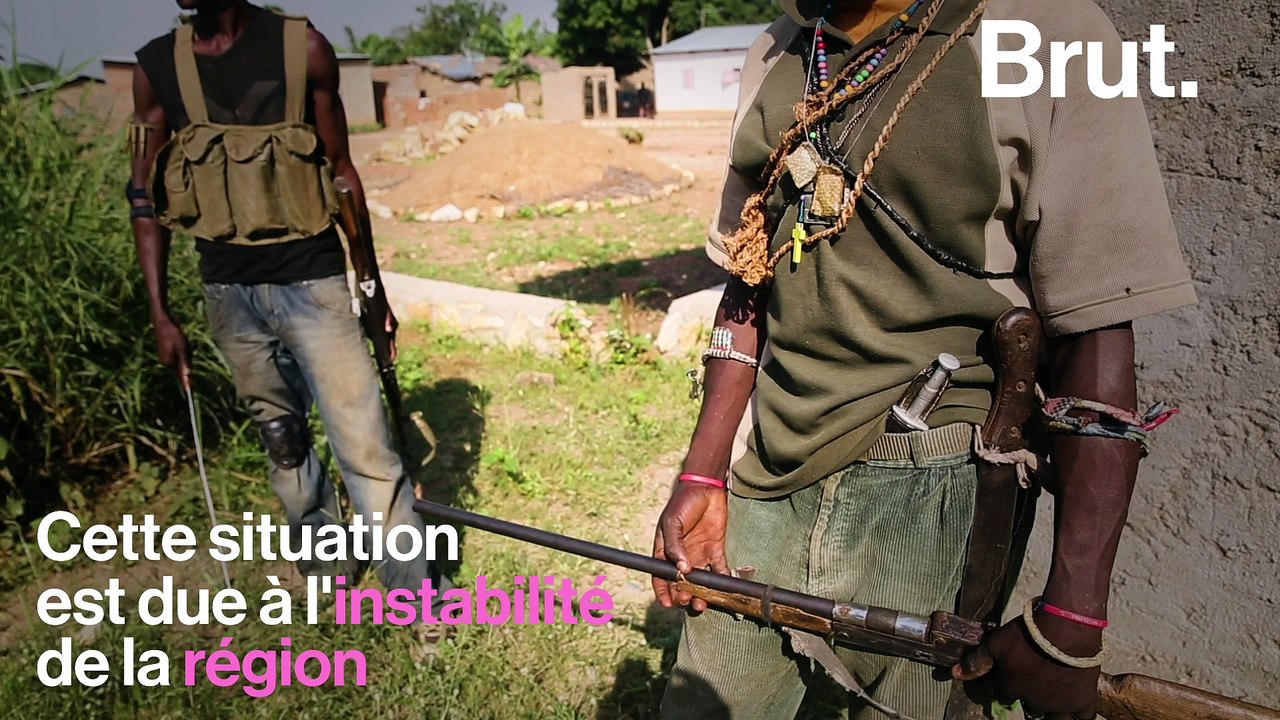 La biodiversité de ce parc national de Centrafrique est gravement menacée