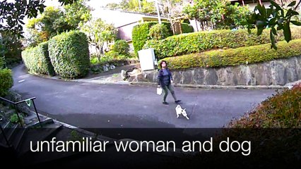 EDR November #16 2018 Noise Campaign Airplanes and people