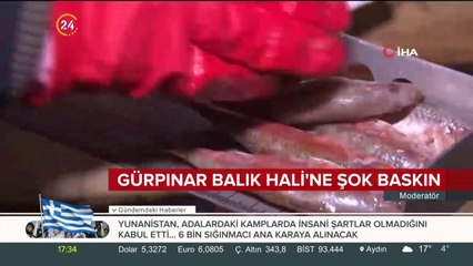 Gürpınar Balık Hali'ne şok baskın