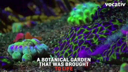 A Hypnotic Sound and Light Show Turned the Desert into a Psychedelic Dream