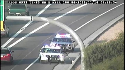 KNXV 11-16-18 dog rescue on US-60 near Mesa Dr