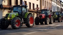 Sarreguemines : 31 tracteurs en cortège vers la sous-préfecture