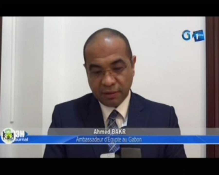 RTG/Audience de l’Ambassadeur d’Egypte au Gabon Ahmed Bakar par le Vice Président de la république