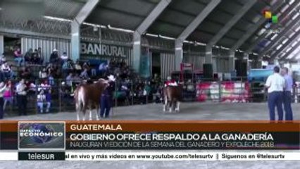 Gobierno de Guatemala ofrece respaldo al sector ganadero