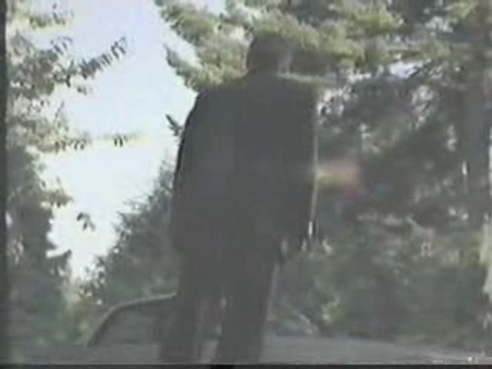 H5