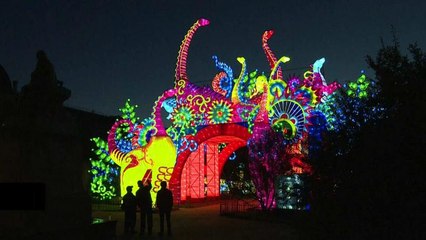 Paris'te 'dev hayvanlar' Noel'i karşılamak için sahnede