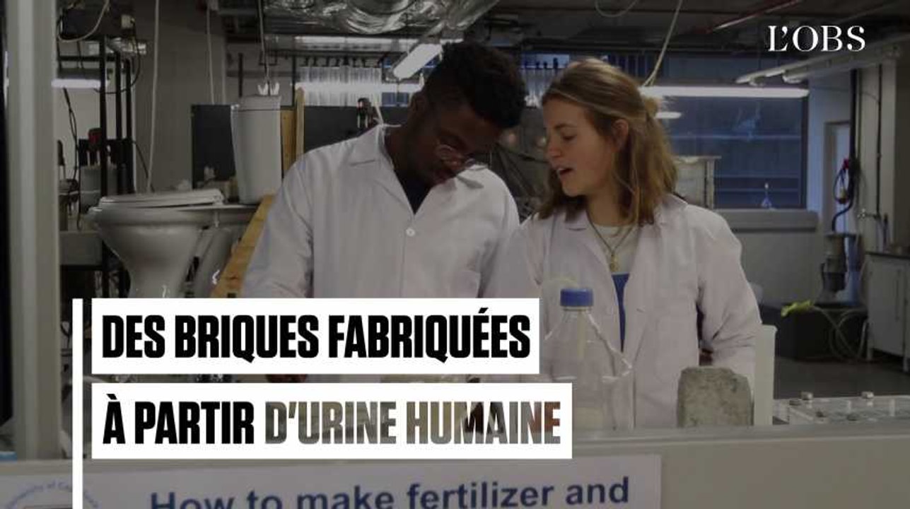 Une université sud-africaine produit des briques à base d'urine