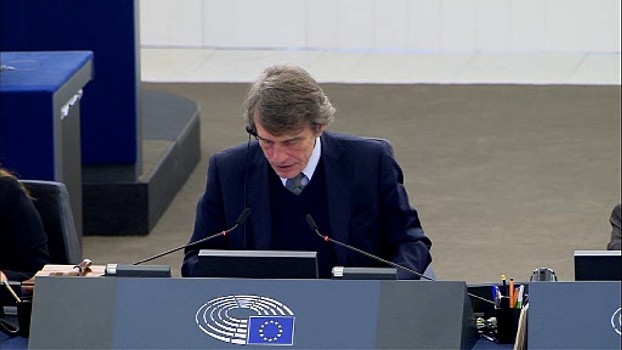 Lyme disease debat i Europa-Parlamentet om ny resolution på området - 15-11-2018 (SD)