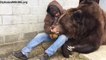 Une belle histoire d'amour entre un grizzly et son dresseur