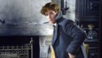 'Fantastic Beasts: Crimes of Grindelwald' Begins Box-Office Run With $9.1M in Previews | THR News