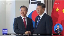 文-시진핑 오늘 정상회담…비핵화 논의 주목