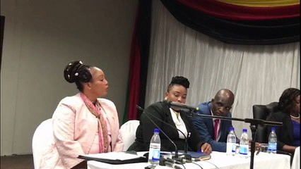 Chigumba Blames MDC for Post Election Shootings