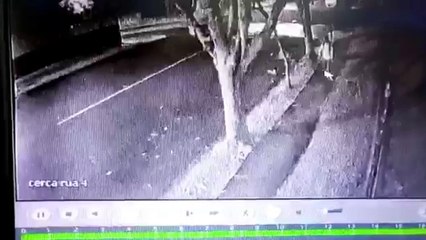 Imagens mostram suspeito de furto na Rua Curitiba