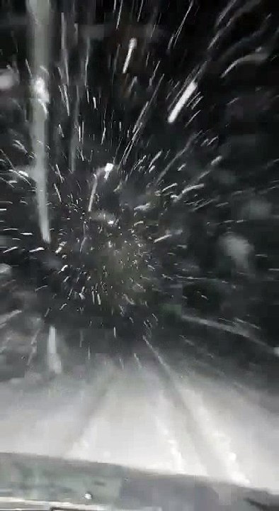 Labuniski bacila 16.11.2018