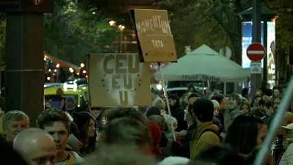 A CEU és az oktatás szabadsága miatt tüntettek