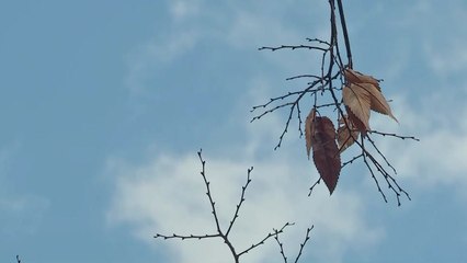 오늘부터 수시 논술 시험...초겨울 추위 / YTN