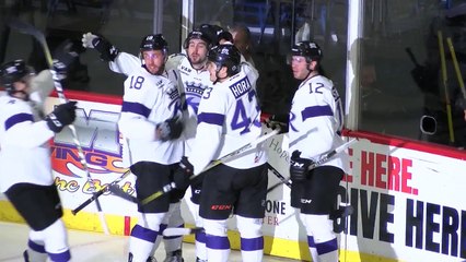 ECHL Reading Royals vs Newfoundland Growlers