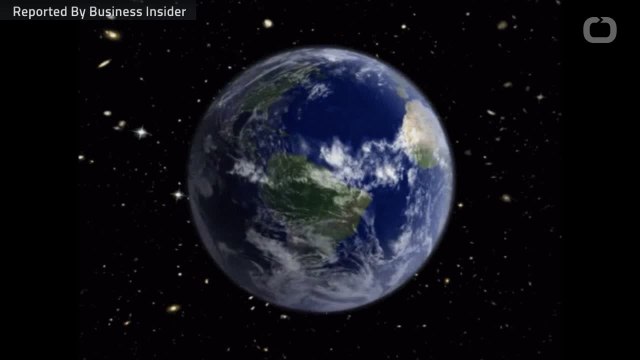 What Are The World's Smallest Animals?