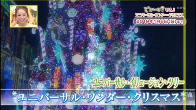 冬のU食物S 20181117