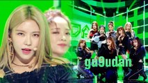 [Comeback Stage] gugudan -  Not That Type,  구구단 - Not That Type Show Music core 20181117