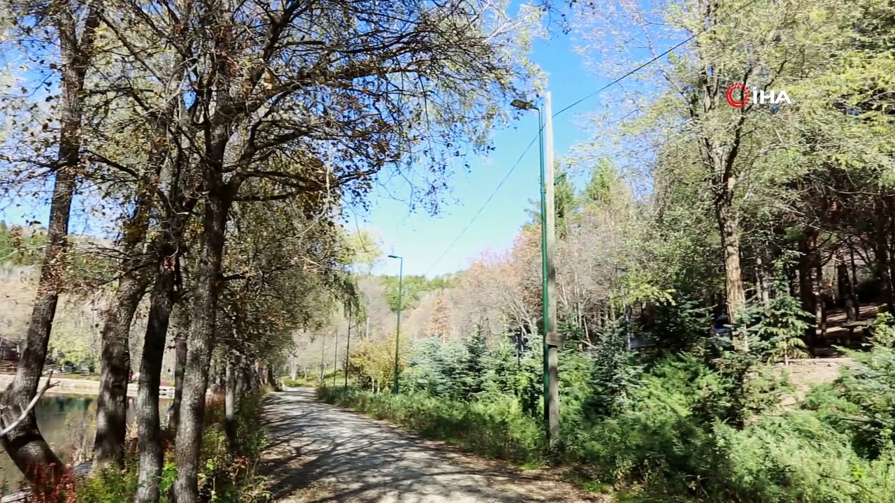 Başkent parklarında sonbahar şöleni