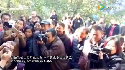 Ikan yang mengeluarkan suara seperti bayi sedang menangis