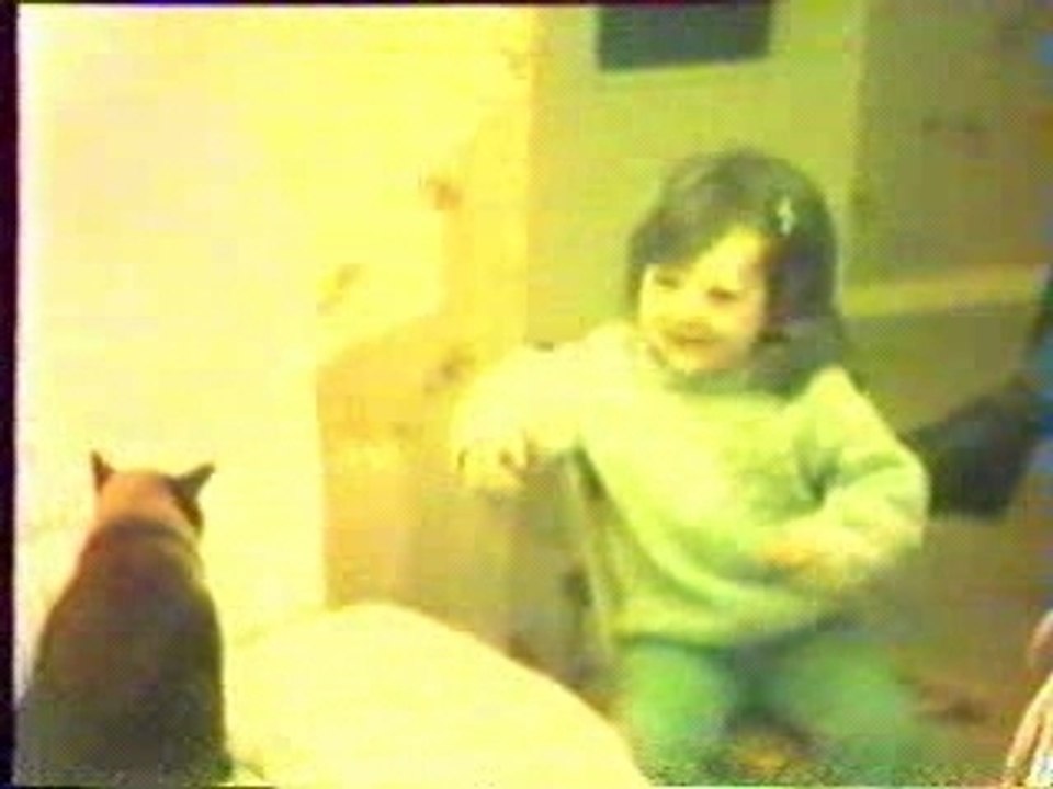 JulyBip - Charabia concernant Dédé la chatte siamoise