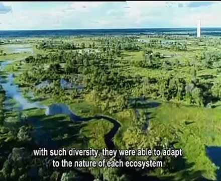 شاهد.. مؤتمر التنوع البيولوجى يعرض وثائقي سيمفونية الحياة