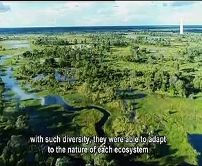 شاهد.. مؤتمر التنوع البيولوجى يعرض وثائقي "سيمفونية الحياة"