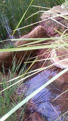 احسن منظر طبيعي في صحراءالجزائر